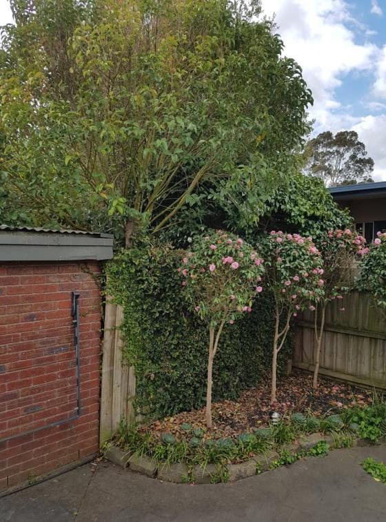 Creek Cottage Bed And Breakfast Traralgon Eksteriør billede