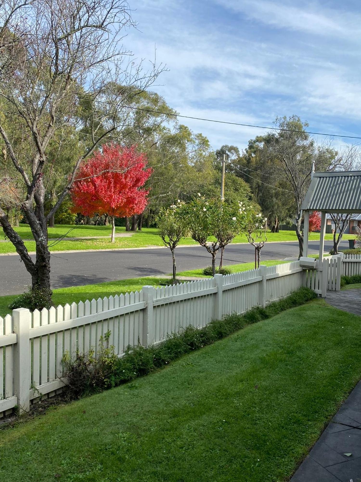 Creek Cottage Bed And Breakfast Traralgon Eksteriør billede